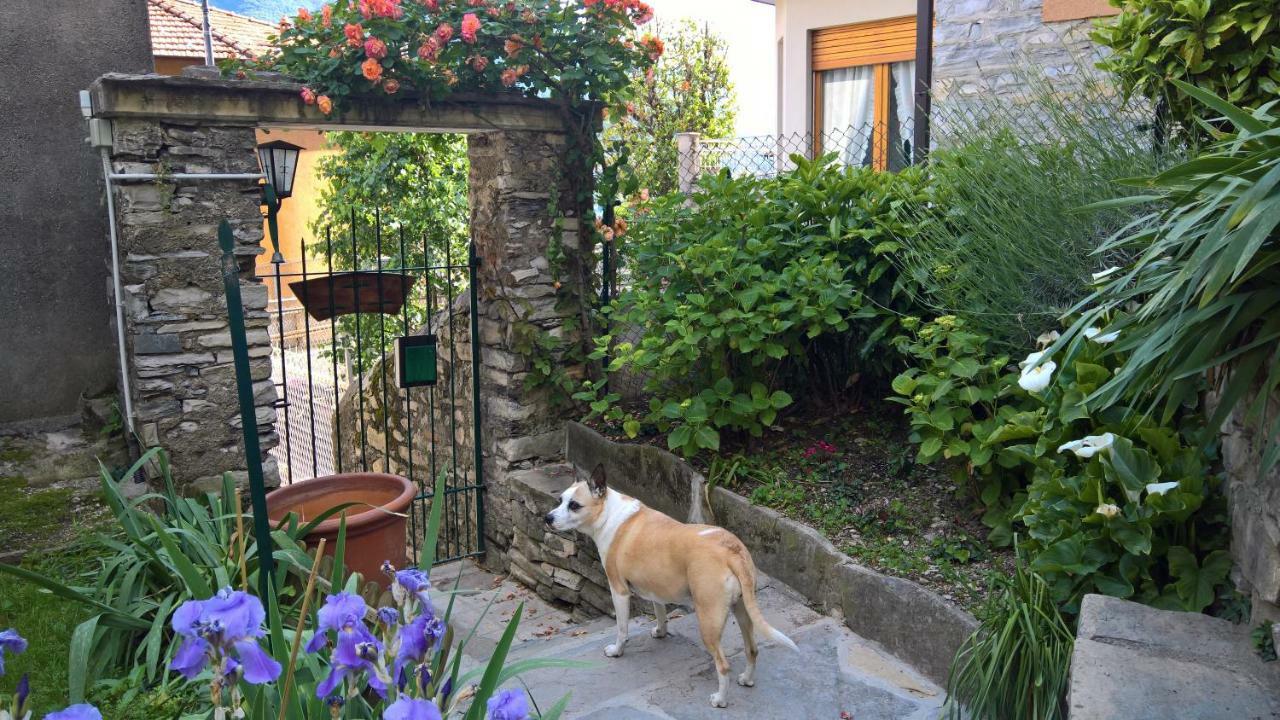 B&B "A Casa Di Camilla" Carate Urio Zewnętrze zdjęcie